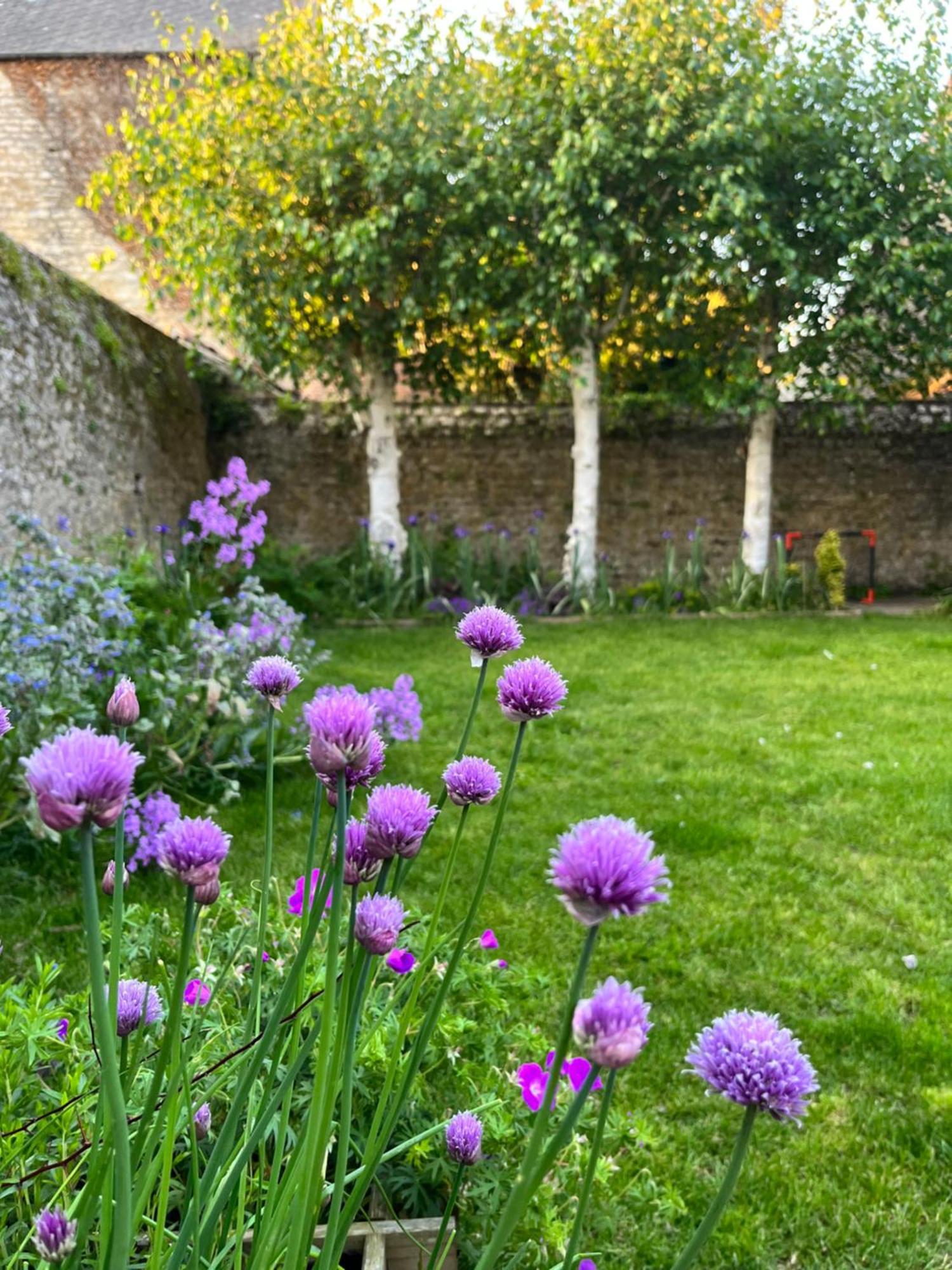 Maison Chaleureuse Avec Jardin - Pause Normande Sees Luaran gambar